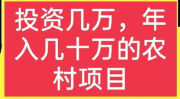 农村现在干什么赚钱,探索当下热门赚钱项目