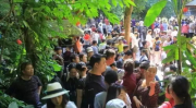 云南导游事件,揭示旅游乱象，呼唤行业规范与游客权益保障