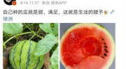 吃娱乐圈的瓜,揭秘明星幕后故事与情感纠葛
