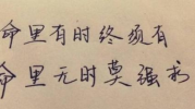 听天由命什么意思,宿命论的反思与人生选择的探索