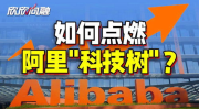 阿里巴巴投入1000亿,共筑共同富裕新篇章”