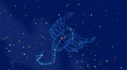 二月二日是什么星座,二月二日星座揭秘，水瓶座与双鱼座的独特魅力”
