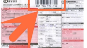 输入顺丰快递单号查询,轻松追踪包裹物流信息